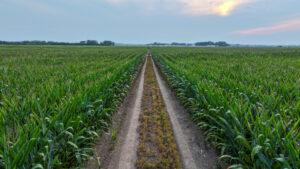 Pierce County, Nebraska Irrigated Farms for Sale