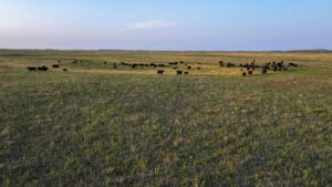 Holt County, Nebraska Pasture For Sale