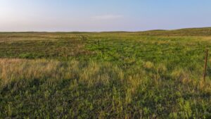 Holt County, Nebraska Pasture For Sale