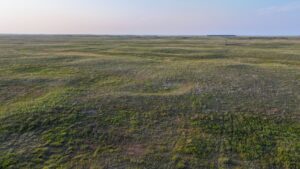 Holt County, Nebraska Pasture For Sale