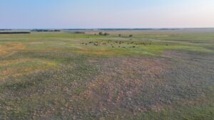 Holt County, Nebraska Pasture For Sale