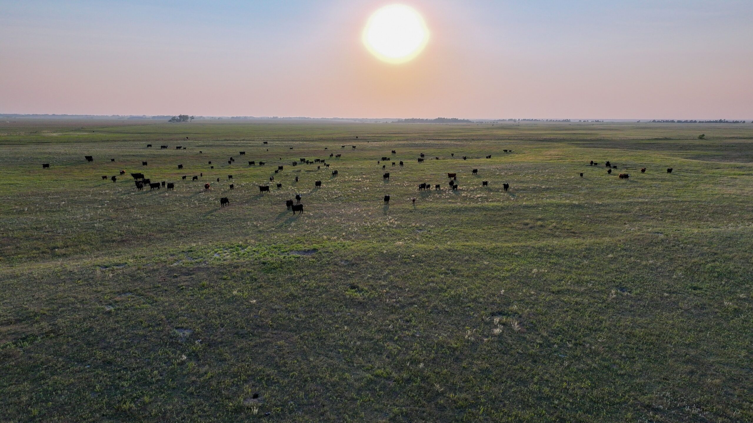 Holt County, Nebraska Pasture For Sale