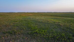 Holt County, Nebraska Pasture For Sale
