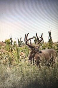 Hunting Property For Sale