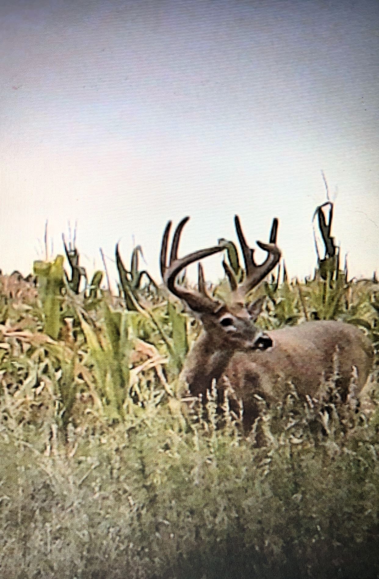 Hunting Property For Sale
