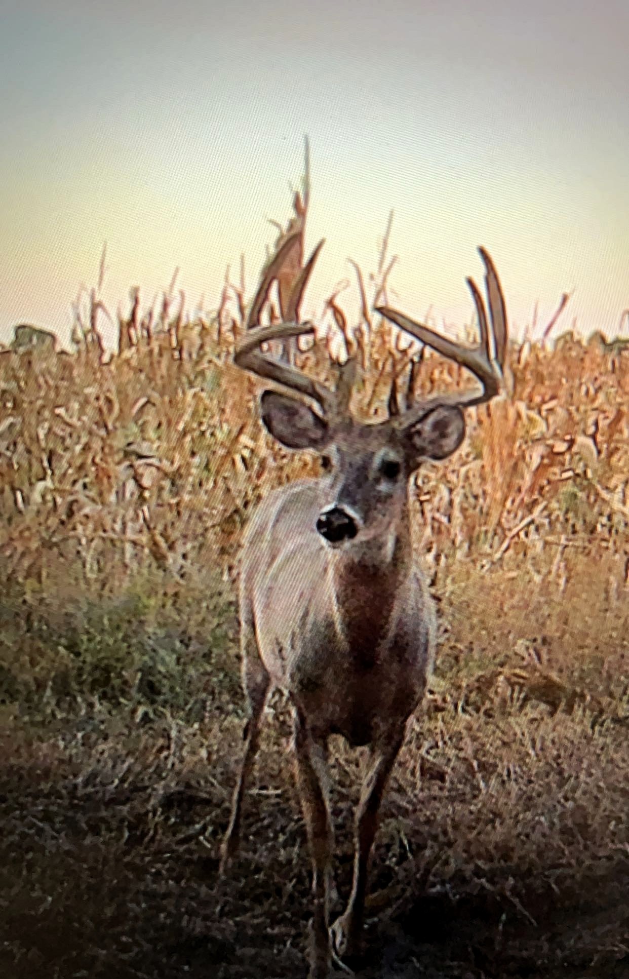 Hunting Property For Sale