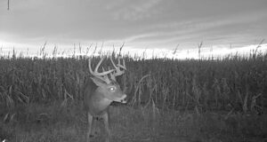 Hunting Property For Sale