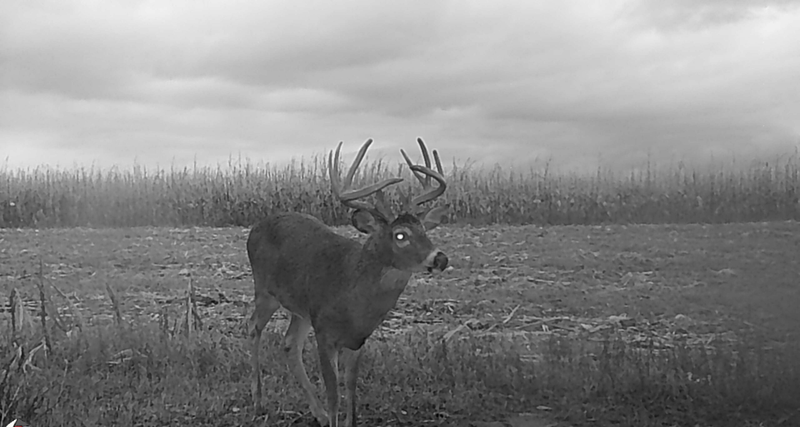 Hunting Property For Sale